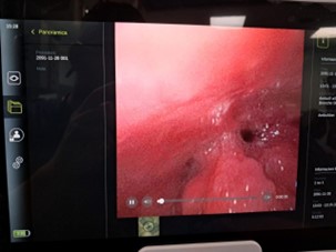 Argomento del mese di Gennaio